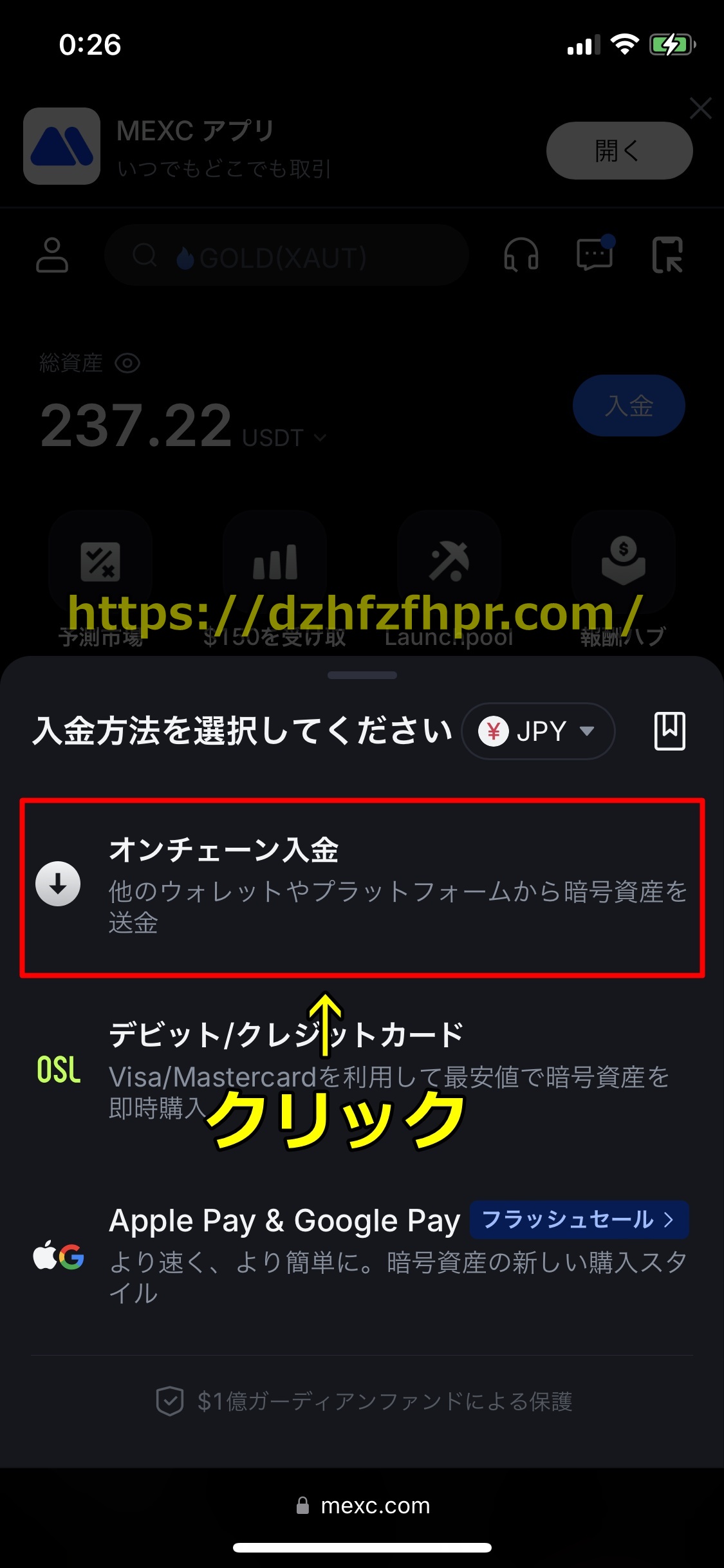 遊雅堂