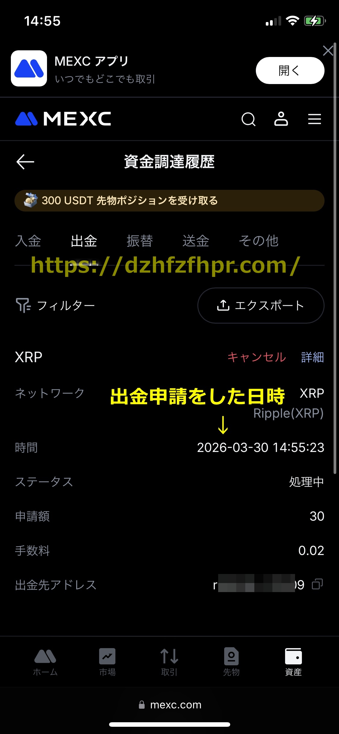 遊雅堂