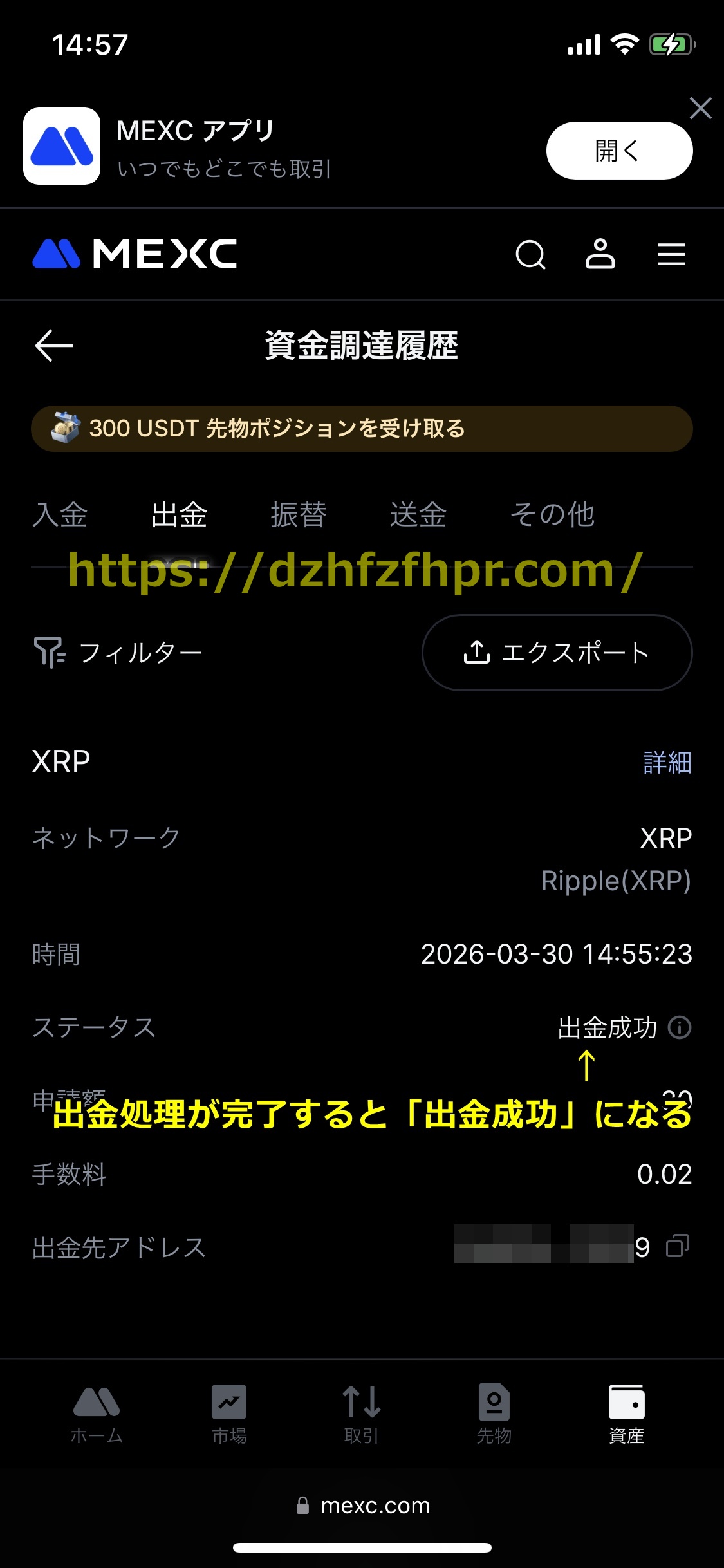 遊雅堂